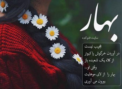 resim